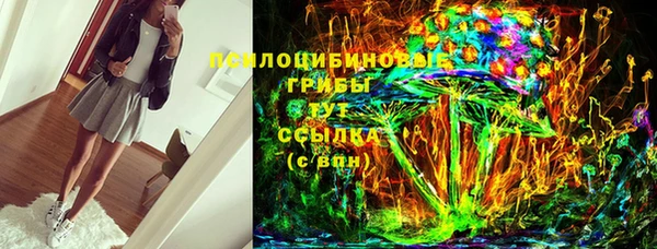 СК Алексин