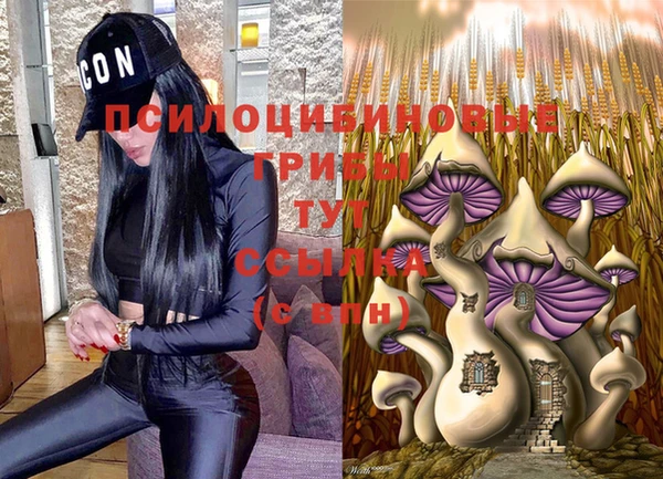 герыч Алзамай