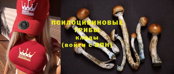 герыч Алзамай