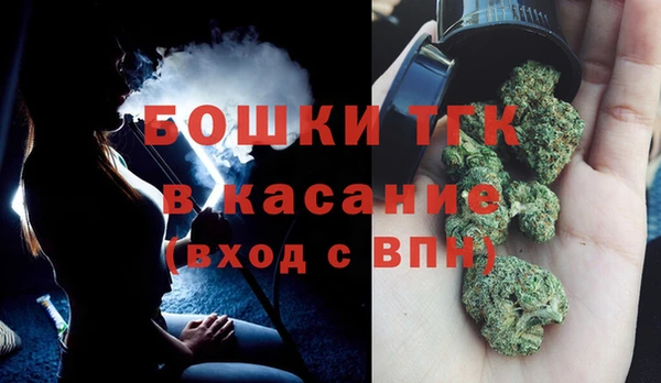 ПСИЛОЦИБИНОВЫЕ ГРИБЫ Переславль-Залесский