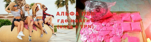 СК Алексин