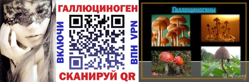 купить наркотики сайты Пошехонье Галлюциногенные грибы Psilocybe